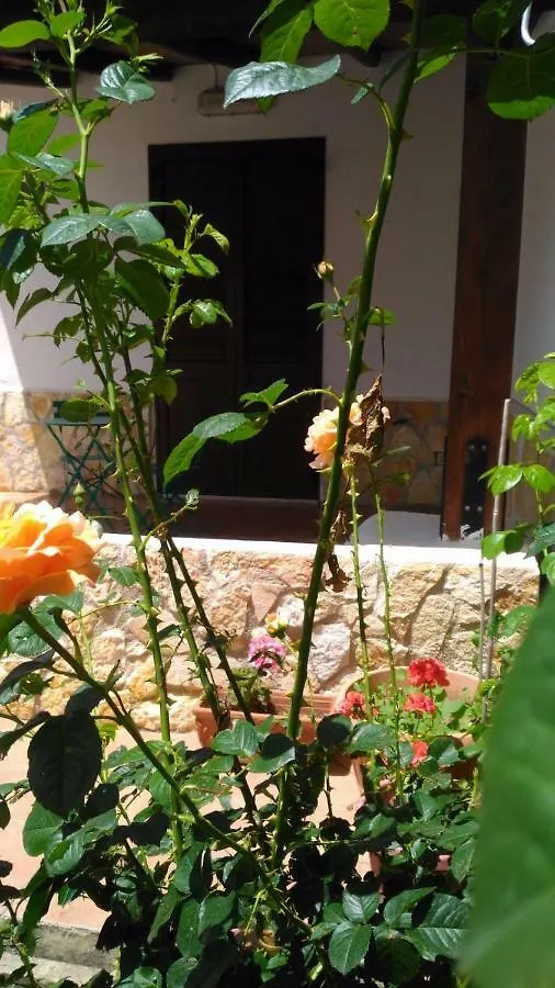 Casa Il Gelsomino Guest House Alcamo Italy