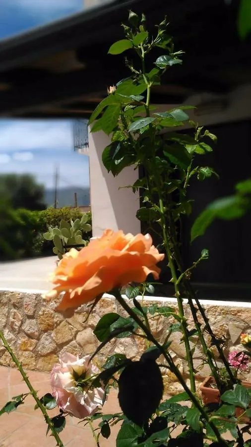 Casa Il Gelsomino Guest House Alcamo Country house